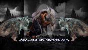 Radioblackwolf1