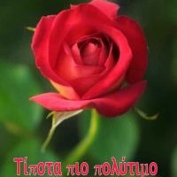 ΖΕΝΙΑ55