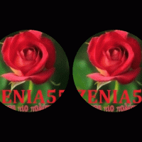 ΖΕΝΙΑ55