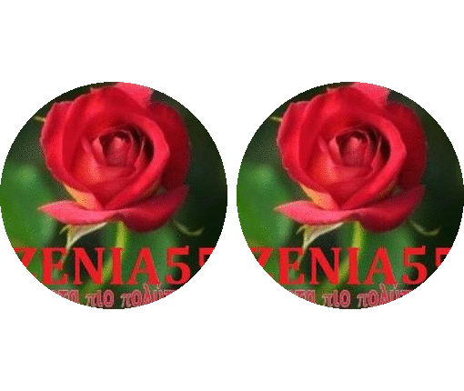 ΖΕΝΙΑ55