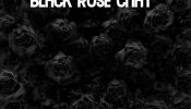 Black Rose Chat